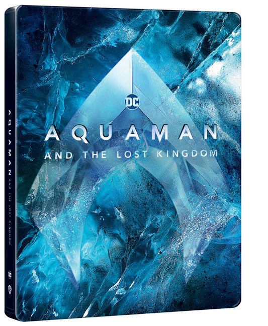 Blu-ray: Aquaman a ztracené království - 4K UHD + Blu-ray (2 BD) Steelbook - motiv Icon