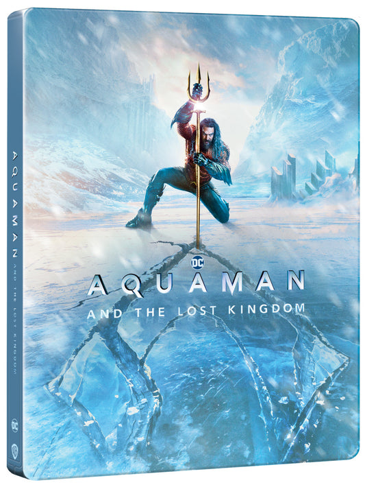 Blu-ray: Aquaman a ztracené království BD+DVD (Combo pack) - steelbook - motiv Ice